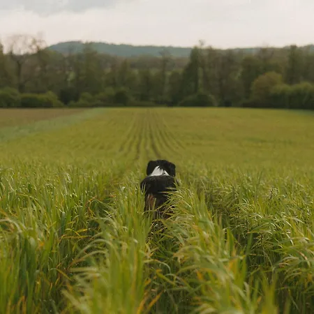 Horská chata Parcel Tiny House Vallee, Pres De Verdun Rarécourt