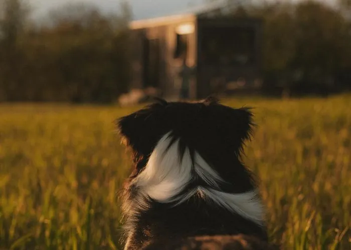 Parcel Tiny House Vallee, Pres De Verdun Шале Rarecourt