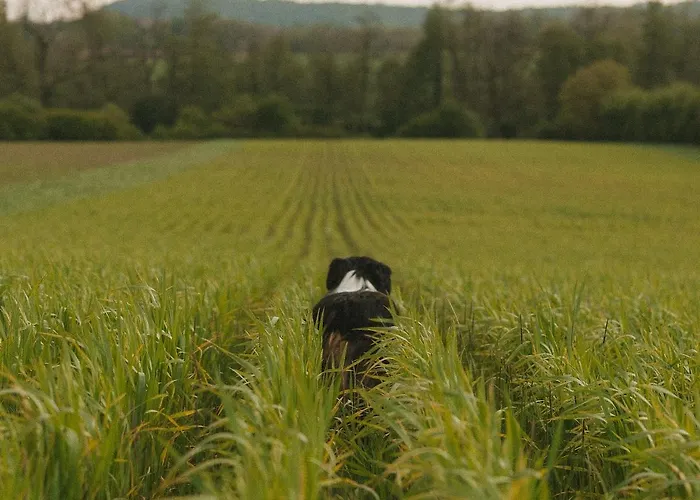 Шале Parcel Tiny House Vallee, Pres De Verdun Rarecourt