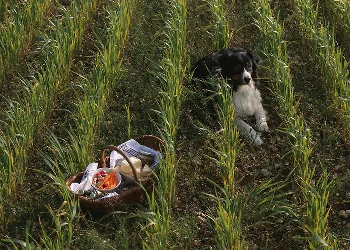 Parcel Tiny House Vallee, Pres De Verdun * Rarecourt
